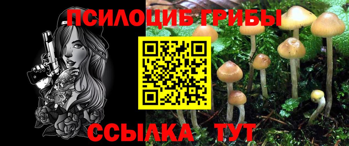 Псилоцибиновые грибы Magic Shrooms  Вход с VPN  Киржач 
