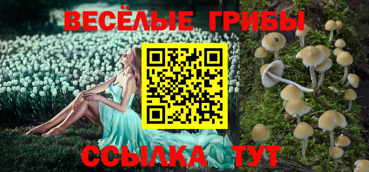 Псилоцибиновые грибы Magic Shrooms Киржач